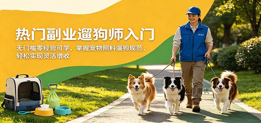 热门副业遛狗师入门，无门槛零经验可学，掌握宠物照料遛狗规范，轻松实现灵活增收-八方网创
