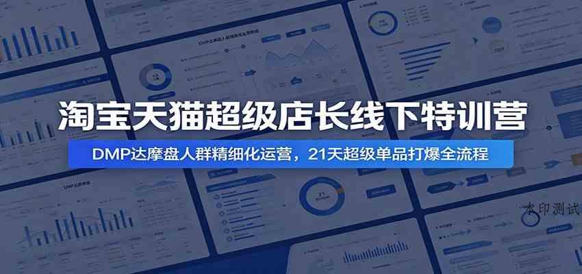 淘宝天猫超级店长线下特训营：DMP达摩盘人群精细化运营，21天超级单品打爆全流程-八方网创