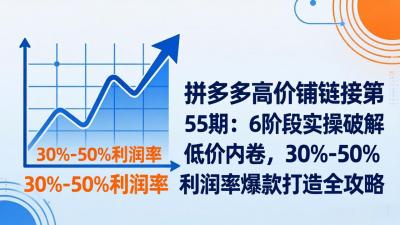 【精】拼多多高价铺链接第55期：6阶段实操破解低价内卷，30%-50%利润率爆款打造全攻略-八方网创