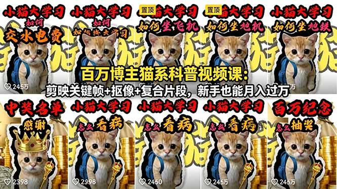 百万博主猫系科普视频课:剪映关键帧+抠像+复合片段,新手也能月入过万-八方网创