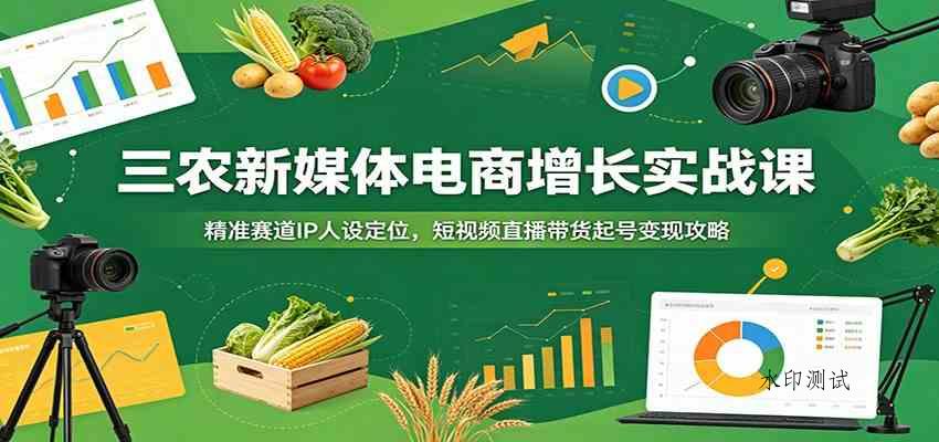 三农新媒体电商增长实战课:精准赛道IP人设定位,短视频直播带货起号变现攻略 三农新媒体电商增长实战课:精准赛道IP人设定位,短视频直播带货起号变现攻略