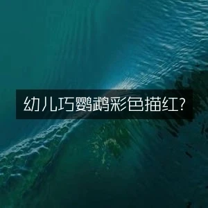 幼儿巧鹦鹉彩色描红-八方网创