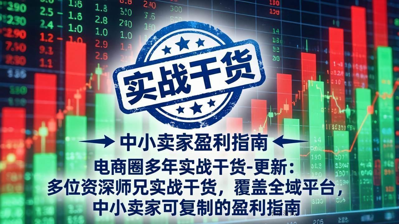 （18534期）电商圈多年实战干货-更新5月20：多位资深师兄实战干货/覆盖全域平台，中小卖家可复制的盈利指南-八方网创