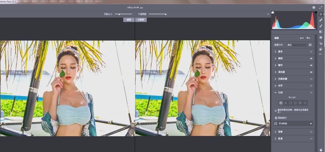 RAW处理Adobe Camera Raw v18.2.0中文版-八方网创