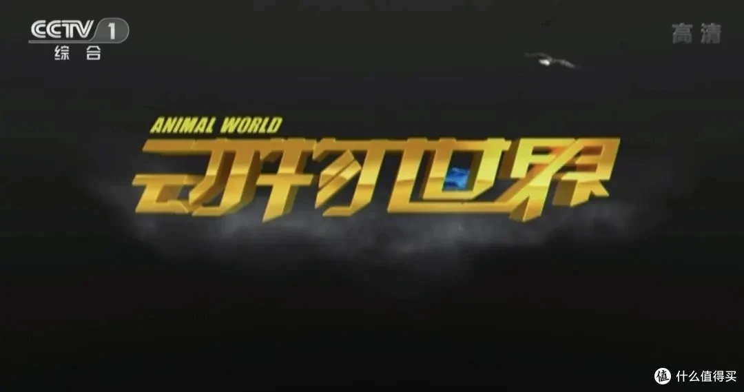 动物世界 赵忠祥 108全集-八方网创