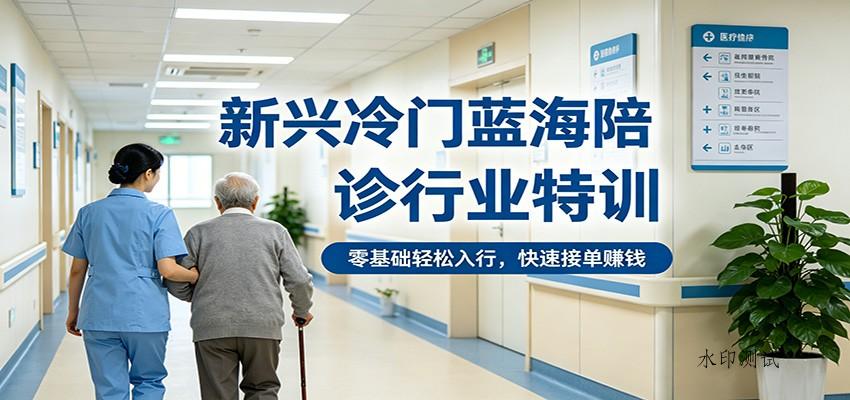 新兴冷门蓝海陪诊行业特训，零基础轻松入行，快速接单赚钱-八方网创