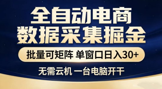 独家电商数据全自动采集项目，批量可矩阵，单窗口轻松日入3张+【揭秘】-八方网创