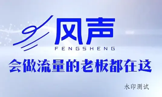 【精】2026搞钱风向标！董十一这套短视频AI获客玩法，实体老板必看！-八方网创