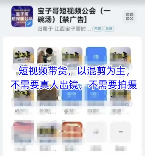 宝子哥头部团队短视频带货，以混剪为主，不需要真人出镜，不需要拍摄【更新26年3月】-八方网创