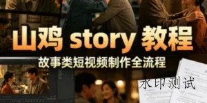 【精】山鸡 story 教程｜故事类短视频制作全流程｜4 节系统课掌握情感故事视频核心技巧-八方网创